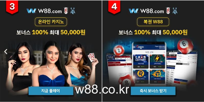 w88vn 홍늉
